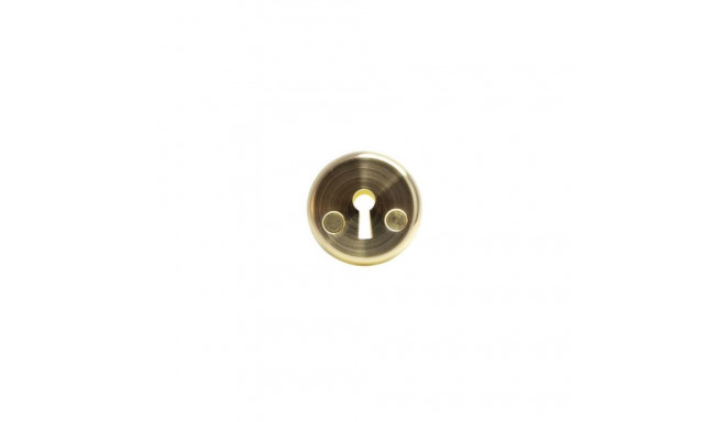 ESCUTCHEON 016 STEEL KEY SB