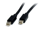 Kabelis MiniDisplayPort Startech MDISP2M              (2 m) 4K Ultra HD Melns