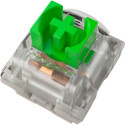 Razer Green Switch Set, Key Switch (Green/Transparent, 36 Pieces)