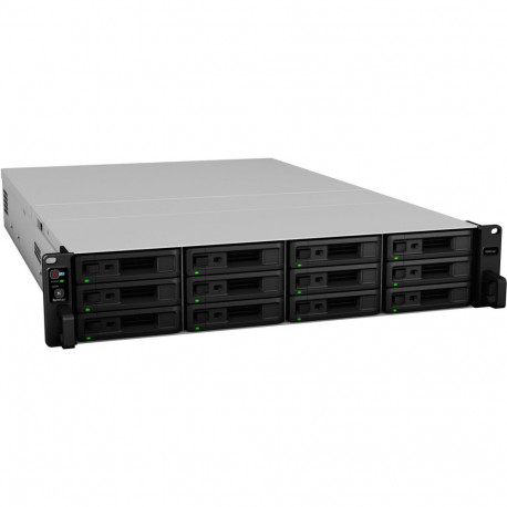 RS3621xs+ (schwarz/grau)