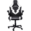 Mänguritool Trust GXT703R RIYE, valge