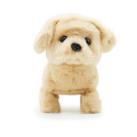 PUGS AT PLAY Kõndiv koer Goldie