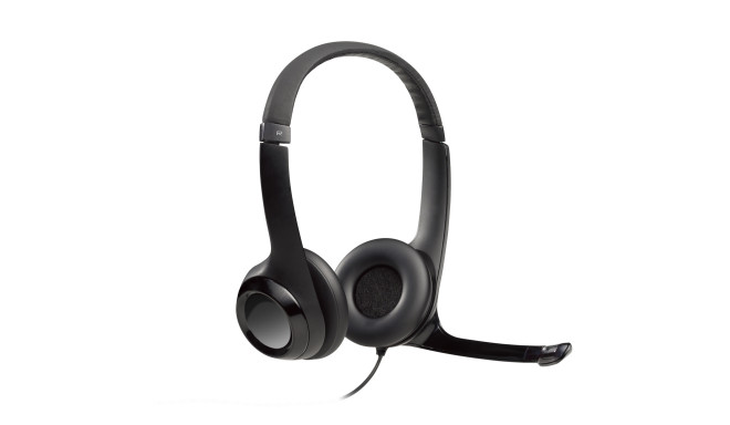 Ausinės LOGITECH H390, su mikrofonu, USB