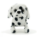 PUGS AT PLAY Kõndiv koer Spotty