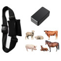 Livestock GPS Tracker