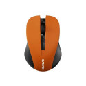 Canyon CNE-CMSW1O mouse Ambidextrous RF Wireless Optical 1200 DPI