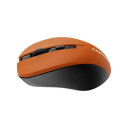 Canyon CNE-CMSW1O mouse Ambidextrous RF Wireless Optical 1200 DPI