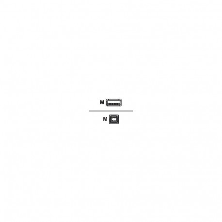 USB 2.0 Kabel, USB-A Stecker > USB-B Stecker (schwarz, 0,5 Meter)