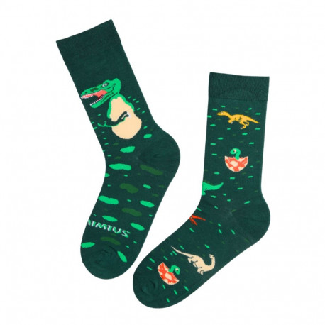 SOKISAHTEL TIMOTHY dinosaurustega puuvillased sokid 446