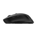 PHILIPS SPK7507B Wireless Mouse - Black