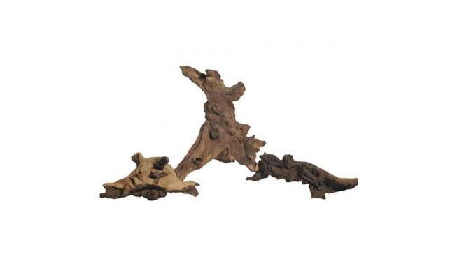 Akvaariumi triivpuu Mopani M 15-50cm