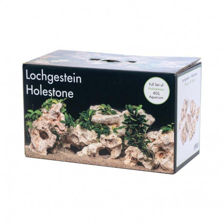 Aquarium decoration, multi-holestone 60L