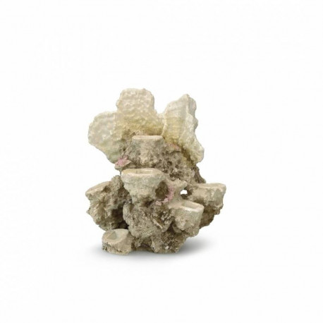Aquarium decoration, coral reef 21x18x31cm