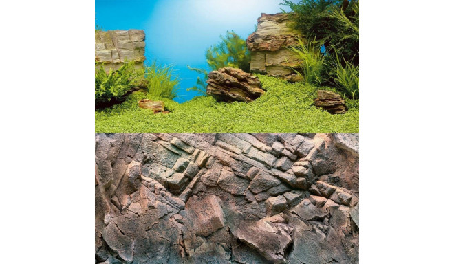 Aquarium background poster 100x50cm