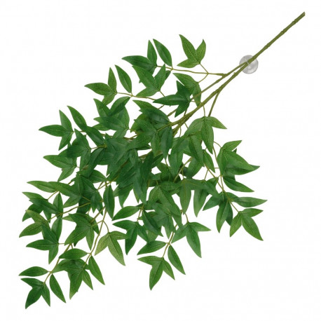 Hanging plant with suction cups Nandina 65x35x1,5cm green