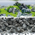 Aquarium background poster 4 S 60x30cm