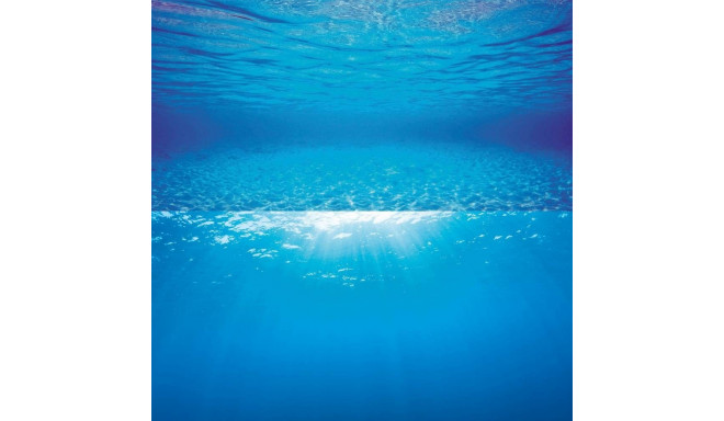 Aquarium background Poster 2 S 60x30cm