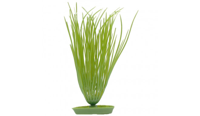 Plastic plant AquaScaper 12.5cm Hairgrass, Marina
