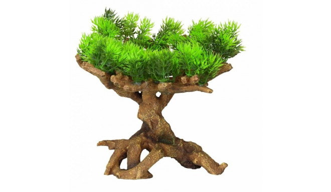 Akvaariumi dekoor Florascape 11 M 22x19x23,5cm
