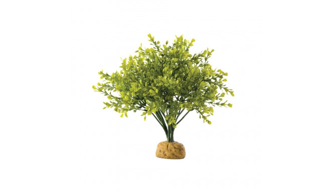 Terraariumi dekoor EXO-TERRA Boxwood Bush