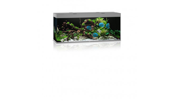 Aquarium Rio LED 450 L grey