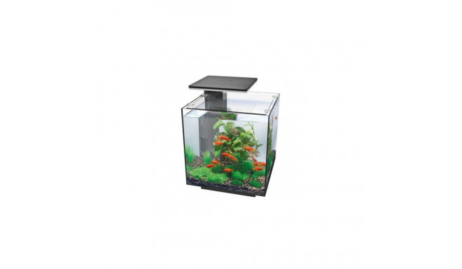 Aquarium QB-30 LED 30L black 320x320x320mm