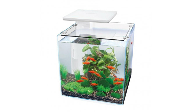 Akvaarium QB-30 LED 30L valge 320x320x320mm