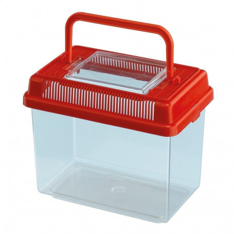 Plastic terrarium Geo, small, 18x11x14/1L