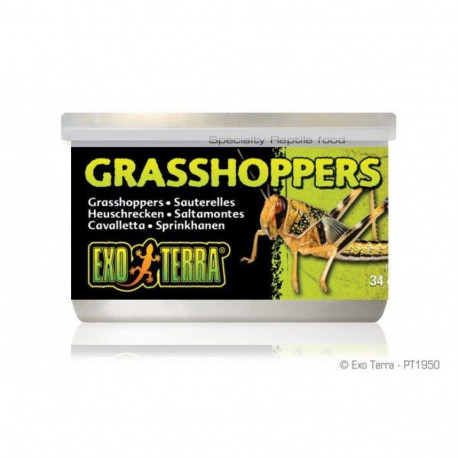 Grasshoppers EXO TERRA, 34g