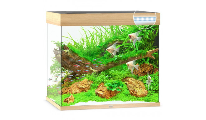 Akvariumas Lido LED 200 L šviesios medienos