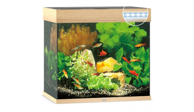 Akvaarium Lido LED 120 L hele puit