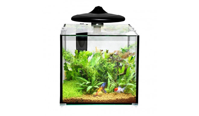 Aquarium CLEAR CUBE CC30 KIT 32L 350x320x318mm