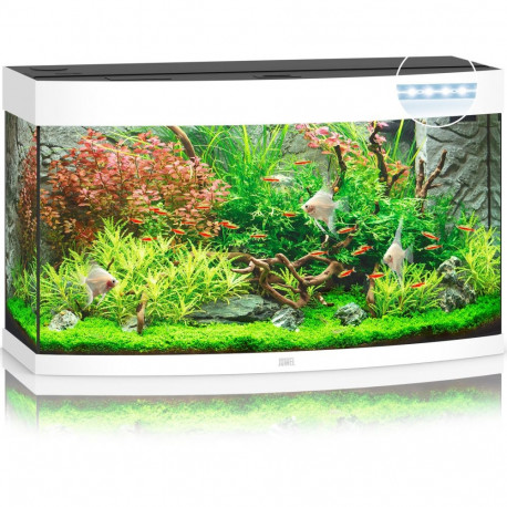 Akvaarium Vision LED 180 L valge