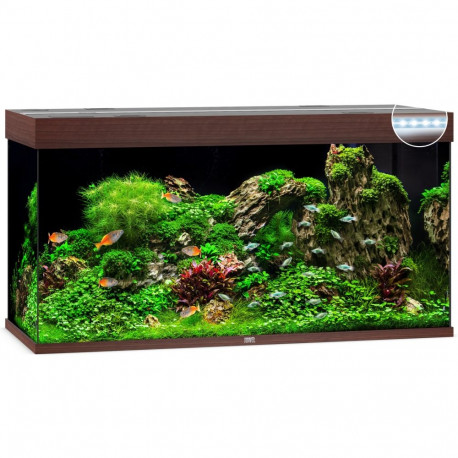 Aquarium Rio LED 350 L tamsus medis