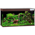 Aquarium Rio LED 350 L tamsus medis