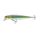 Masalas Daiwa PX Minnow SR 120 12cm/17g/0,6-1,2m setsuki ayu