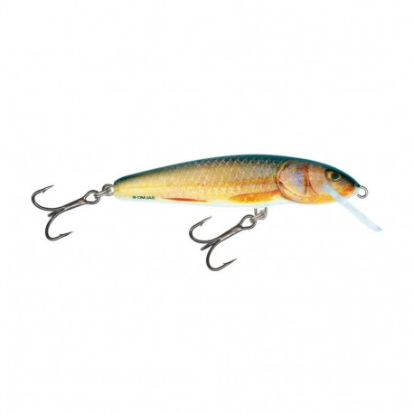 Lure Minnow 7F 7cm/6g/1.0-1.5m RR