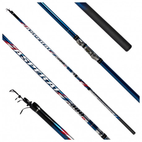 Fishing rod SWD Asperal bolo 5m 10-40g