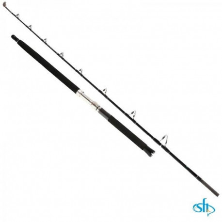 Saltwater rod SFT Ocean Guide 1.80m 300-1000g 2sec Roller
