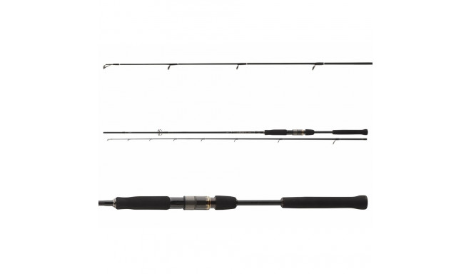 Spinninguts Daiwa Airity Jigger 2,70m 7-28g