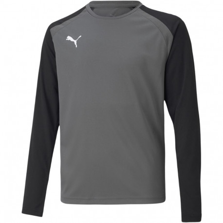 Puma laste väravavahisärk teamPACER GK LS Jersey 704939 43 116cm, hall