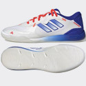 Adidas Fevernova Court IN M IG8766 football shoes (42)