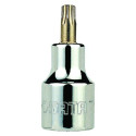 1/2" torx padrun T-20