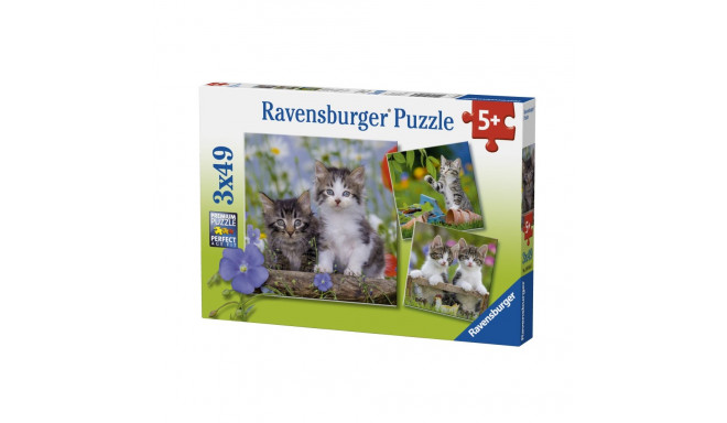 Ravensburger pusle Kiisud 3x49tk