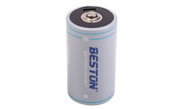 Rechargeable D Size Battery with USB-C Port, 1.5V, 4000mAh, Li-Ion