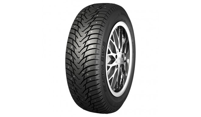 195/65R15 Nankang SW-8 naastrehv 95T XL