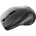 CANYON mouse MW-01 BlueLED Wireless Black