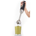 Blender set G21 VitalStick 1000 W black 600862