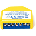 "Shelly Relais ""RGBW2"" WLAN LED Lichtcontroller Doppelpack"