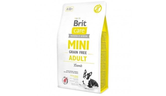 BRIT CARE MINI TÄISKASVANUD LAMBALIHA 2KG